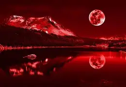 马其顿队球员发威,成功晋级 马其顿队球员发威,成功晋级