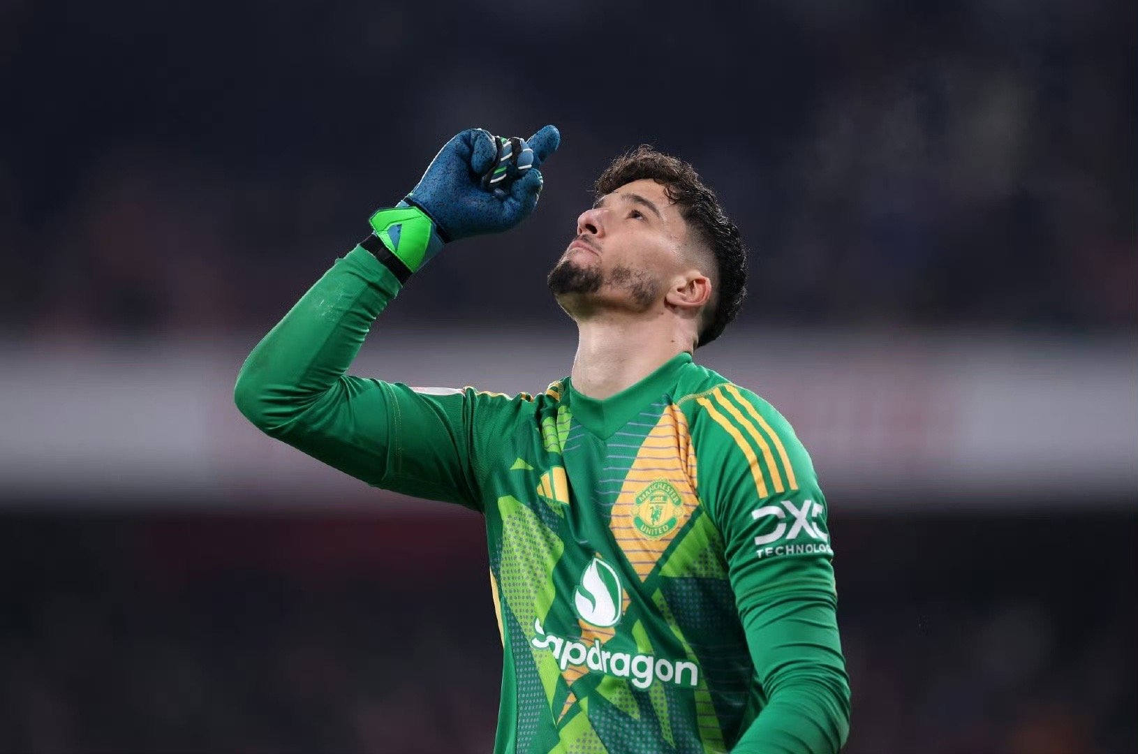 爱尔兰队实力不凡,坦然面对一切挑战 爱尔兰队实力不凡,坦然面对一切挑战